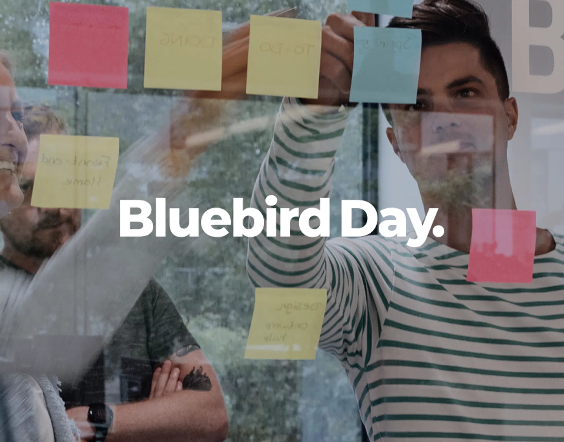 Logo Bluebird Day