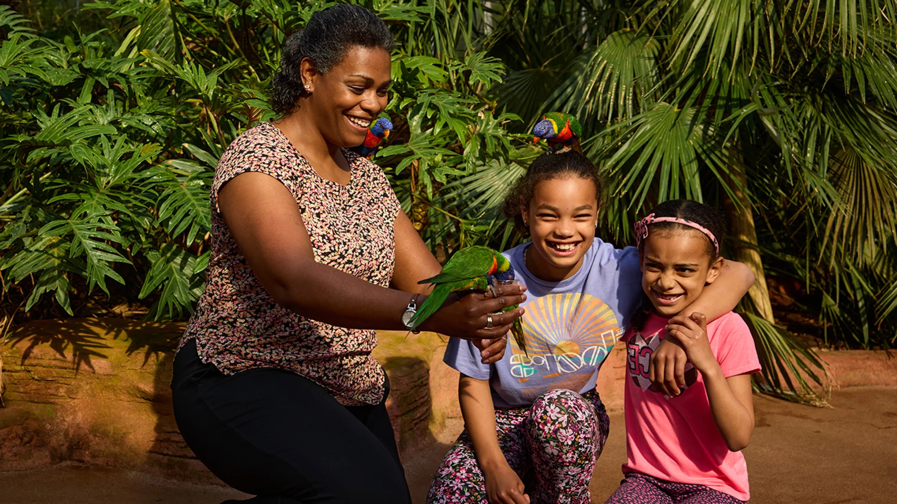 A mother and two daughters in Avifauna